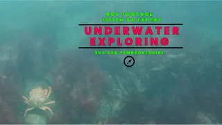 Underwater Exploring! Fifish V6 Expert 4K Sealife Video Off Pembrokeshire Coast.