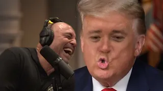 Joe Rogan enjoys Shane's Trump impressions