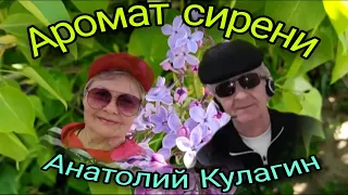 АРОМАТ СИРЕНИ автор и исполнитель Анатолий Кулагин