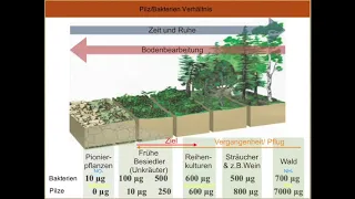 Direktsaat-Vortrag Hessen 14.2.2019 Teil 6 Regenerative Landwirtschaft, Pilz/Bakterien, Humusaufbau