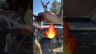Loading elk like a boss 😎😎 #elkhunting #hunting #bowhunting