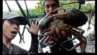 ep_167DAYO PART2//muling naka sagupa ng monster mud crab