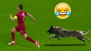 Animals On Field- Funny Football Moments HD