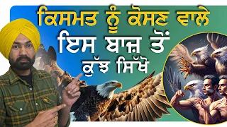 ਕਿਸਮਤ ਨੂੰ ਕੋਸਣ ਵਾਲੇ ਇਸ ਬਾਜ਼ ਤੋਂ ਕੁੱਝ ਸਿੱਖੋ, Punjabi Alfaaz Story, Life Changing Moral Story Punjabi