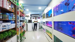 Most beautiful Aquarium Fish Shop In Mumbai | Sheetal Aquarium Fish Shop