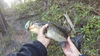 Vacation Fishing - Hillsborough River State Park - 3/6/17