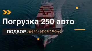 Погрузка авто на судно. Отправка 250 автомобилей. Казахстан и Россия. Авто из Кореи