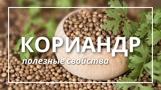 КОРИАНДР легендарная специя в кулинарии и Аюрведе | Елена Андрийченко