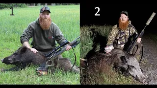 Swedish Wild Boar Hunt; 2 Nights, 2 Boar / Vildsvinsjakt i spannmål, Två kvällar, två vildsvin V292