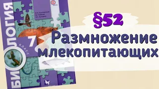 Краткий пересказ §52 Размножение млекопитающих. Годовой жизненный цикл. Биология 7 Константинова