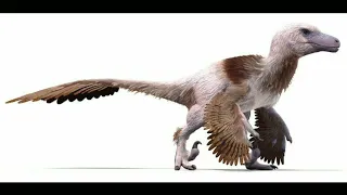 Dakotaraptor Steini sound effects