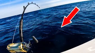 1000lbs Of Fish In 45 Minutes! (Commercial Fishing Amberjack)