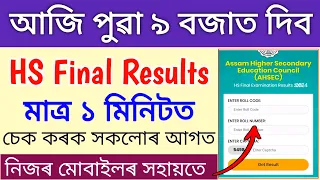 HS Final Result 2024 Today 9 AM _ How to check hs exam result 2024 _ Hs results check 2024