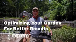 Maximizing Your Food Garden's Potential: Tips For Higher Yields