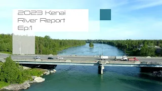 Kenai River Alaska Sockeye Salmon Fishing Report! Soldotna City Parks Update!