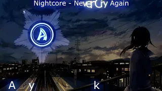 [Nightcore] Dash Berlin - Never Cry Again Jinpachi Futushimo Bootleg Mix (Aykronix Release)