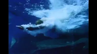 Waterworld (1995) Kevin Costner - VHS TV Spot
