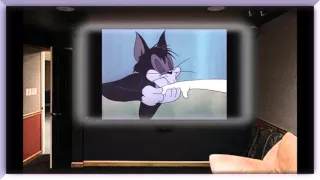 Tom and Jerry new, 55 Episode   Casanova Cat 1951 new