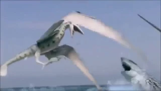 SHARKTOPUS VS PTERACUDA