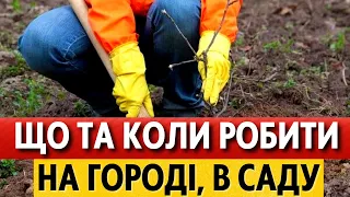 У ЛИСТОПАДІ 2023. Місячний календар городника та садівника на листопад 2023 для України