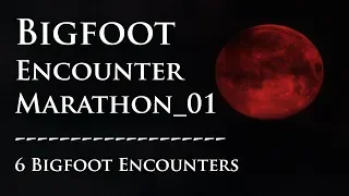 Bigfoot Encounter Marathon_01. Six Scary Encounters.