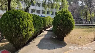 Camino del metro CU a la Facultad de Ciencias