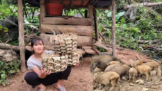 Building Farm In The Forest - Pig, Goat, make a place for chickens to lay eggs - Green Forest Life