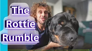 Explained in 2 Minutes - The Rottie Rumble