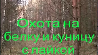 Охота на куницу и белку.  (10 лет назад)