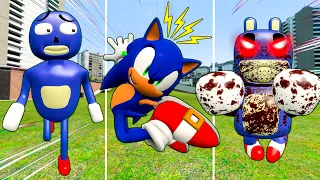 PLAYING AS SUPPER CURSED SONIC 3D SANIC CLONES MEMES in Garry's Mod!