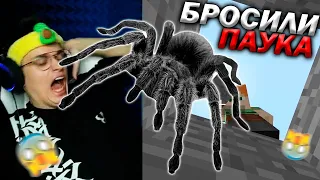 НА БУСТЕРА БРОСИЛИ ПАУКА! БУСТЕР ИСПУГАЛСЯ ПАУКА! БУСТЕР ИГРАЕТ В МАЙНКРАФТ | BUSTER MINECRAFT