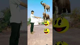 pad man to elephant, biyad, rebit & cat - New funny magic vfx video #shorts #youtubeshorts #viral