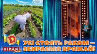 УСІ СТОЯТЬ РАКОМ 😂 – ЗБИРАЄМО ВРОЖАЙ! 🍄 | Дизель Шоу 2023