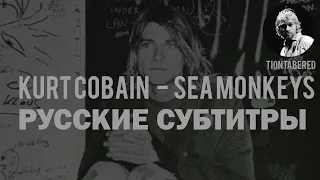 KURT COBAIN - SEA MOKEYS ПЕРЕВОД (Русские субтитры)