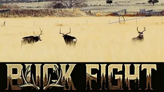 Big Bucks Battle for Dominance in Utah
