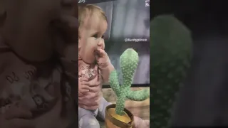 funny babies with copying cactus