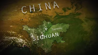 2008 Sichuan/Wenchuan Earthquake