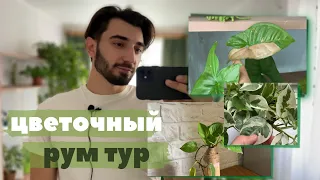 Рум тур. Обзор комнатных растений в интерьере￼