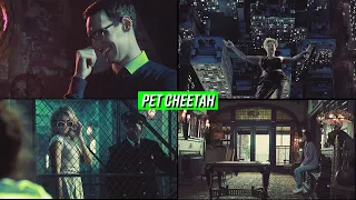 Sony Vegas Coloring | Pet Cheetah (5K GIVEAWAY)