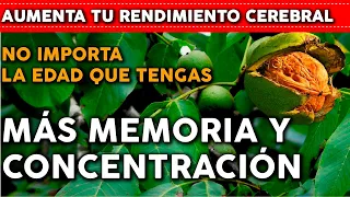 6 Plantas que te harán más INTELIGENTE- Potencian tu MEMORIA y CONCENTRACION