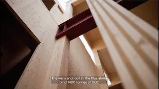 Building The Plus: The use of wood