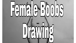 Female Boobs / Pencil Drawing