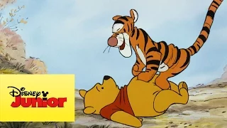 Mini aventuras de Winnie the Pooh - Tigger deja de rebotar