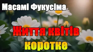 Масамі Фукусіма "ЖИТТЯ КВІТІВ КОРОТКЕ" Аудіокнига Українською