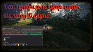 Black Desert / BD: Как правильно фармить Долина Оллуна