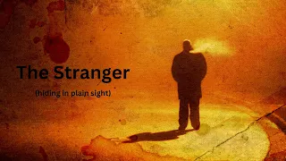 The Stranger - Review Commentary