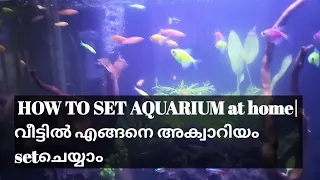 new aquarium setup malayalam planted aquarium