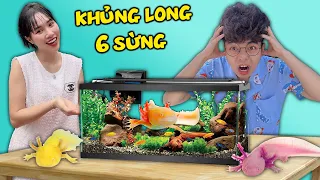 THẮNG TÊ TÊ HẰNG NGA XÂY DỰNG BỂ CÁ NUÔI KHỦNG LONG 6 SỪNG KỲ NHÔNG AXOLOT