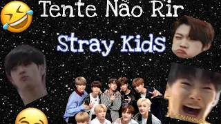 TENTE NÃO RIR - STRAY KIDS| • iMoni-Chan •