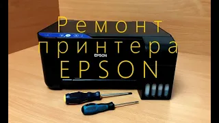 Принтер Epson L3100 полосит. Как удалить воздух из демпфера и СНПЧ.